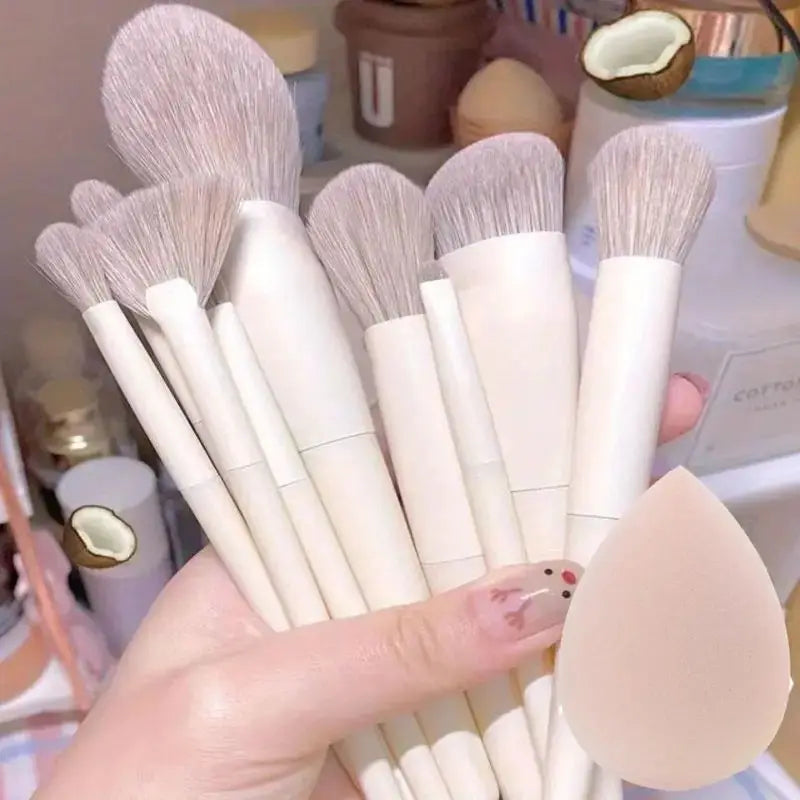 VelvaTouch Pro Makeup Brush Set